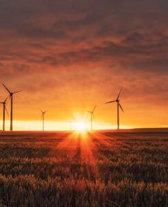 razones energias renovables clave para futuro sostenible