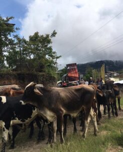 Llurimagua comunidades proyecto minero ecuador mineria responsable