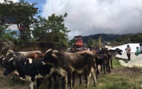 Llurimagua comunidades proyecto minero ecuador mineria responsable