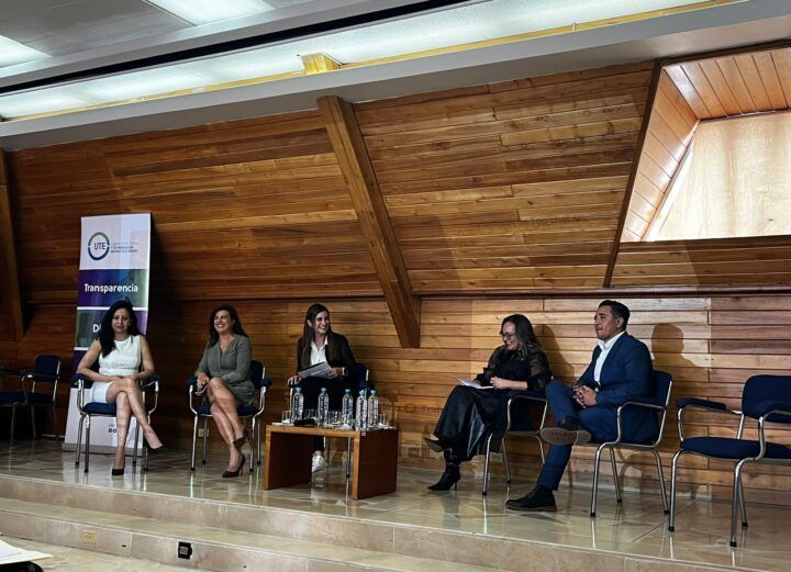UTE discusión minera estado gobierno academia