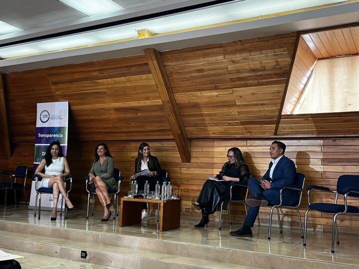 UTE discusión minera estado gobierno academia