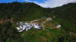 Cascabel se proyecta