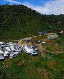 Cascabel se proyecta