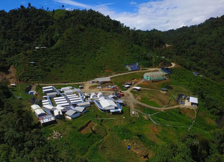 Cascabel se proyecta
