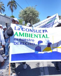 consulta ambiental derecho ecuador mineria industria
