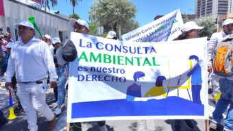 consulta ambiental derecho ecuador mineria industria