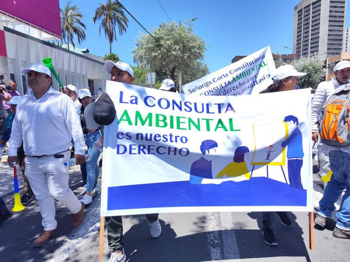 consulta ambiental derecho ecuador mineria industria