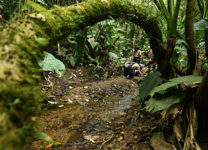 consulta Chocó Andino popular mineria legal ilegal industria
