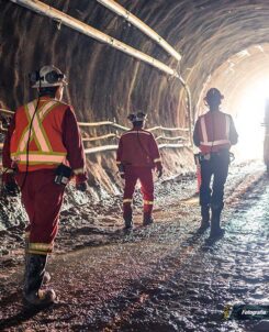 Corte Constitucional consulta negada