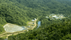 sector minero protocolos bioseguridad