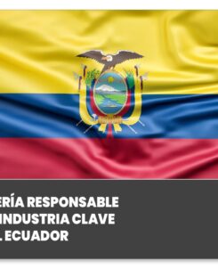 mineria responsable ecuador paro nacional 2022 manifestaciones camara mineria ecuador
