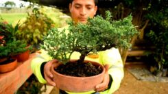 Minería fortalece a emprendimiento productivo de El Pangui