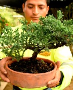 Minería fortalece a emprendimiento productivo de El Pangui