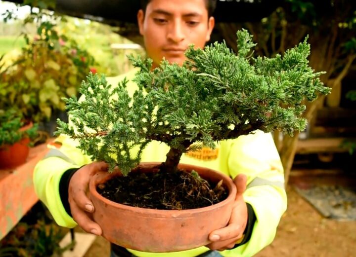 Minería fortalece a emprendimiento productivo de El Pangui