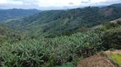 Proyecto Río Magdalena mineria ecuador
