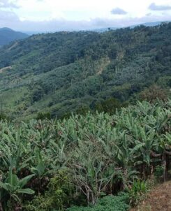 Proyecto Río Magdalena mineria ecuador