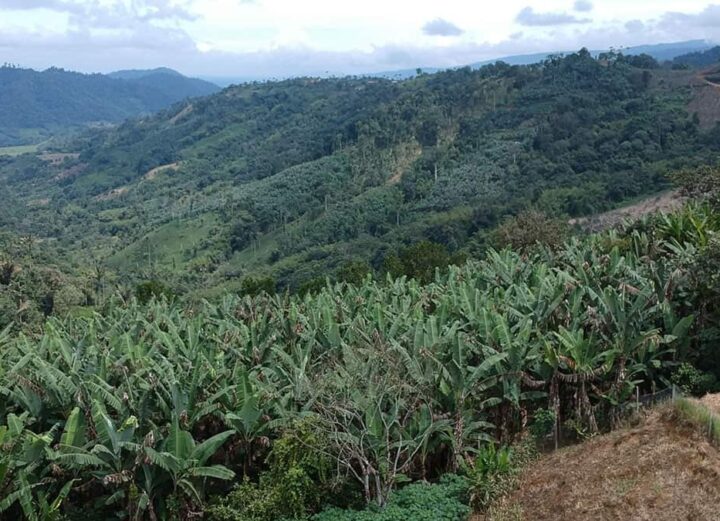 Proyecto Río Magdalena mineria ecuador